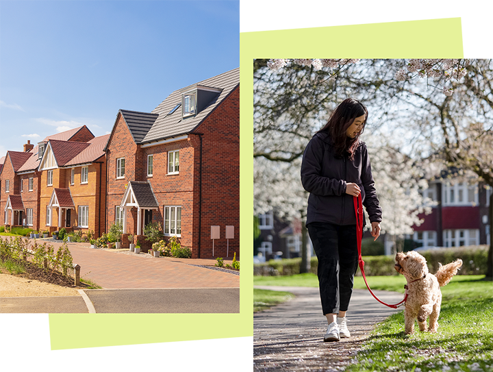 Collection of images showing the key features the scheme aims to deliver