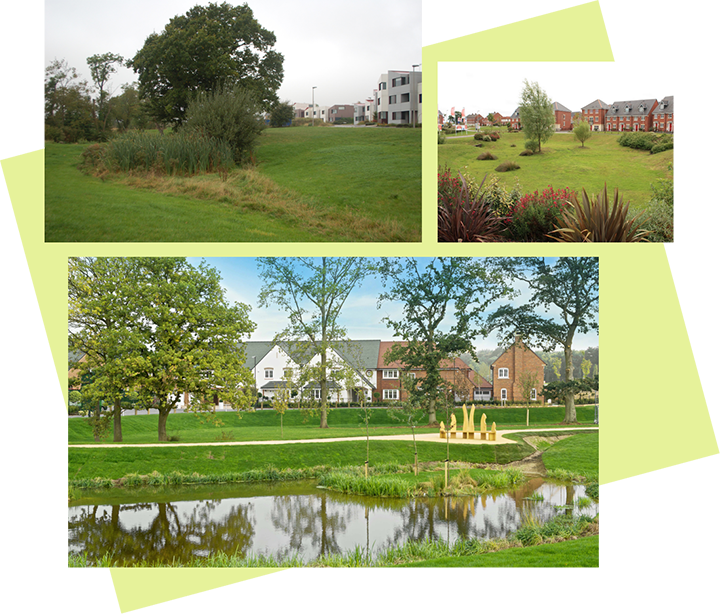 Examples of Sustainable Urban Drainage Systems (SuDS)